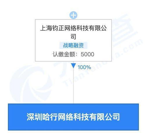 哈啰關聯公司在深圳設立新公司，拓展旅游與住宿服務